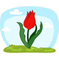 Piros tulipán