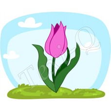 Póló: Tulipán pink